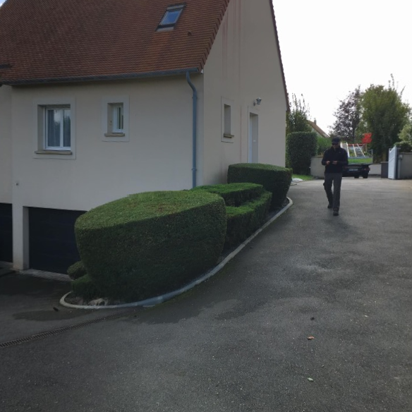 Cauvin jardin à Hérouville-Saint-Clair (14), taille de haies et arbustes